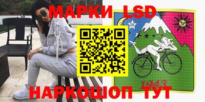 шишки Бузулук
