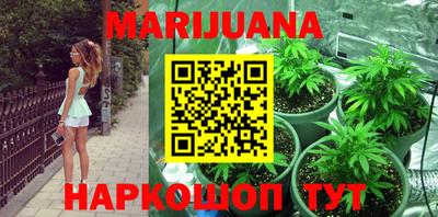 шишки Бузулук
