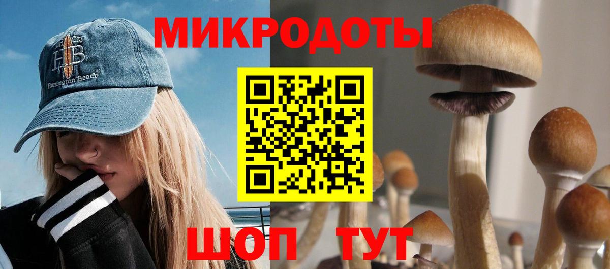 Рузаевка  Галлюциногенные грибы GOLDEN TEACHER  Галлюциногенные грибы GOLDEN TEACHER  Вход с VPN 